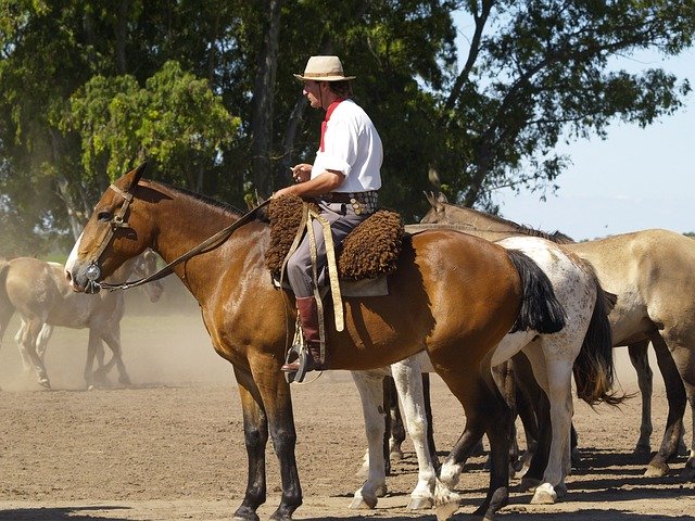 Gaucho montado à cavalo