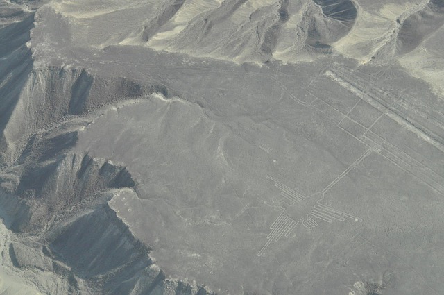 Desenhos de Nazca, figura do colibri