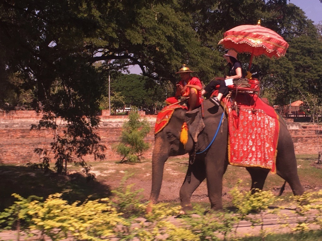 Elefantes... nas proximidades do complexo arqueológico de Ayutthaya