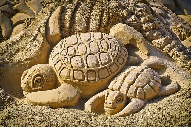 Tartarugas de areia